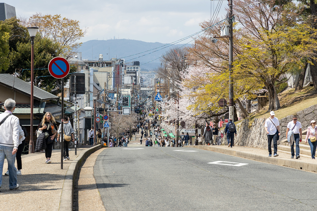 桜満開の奈良公園
