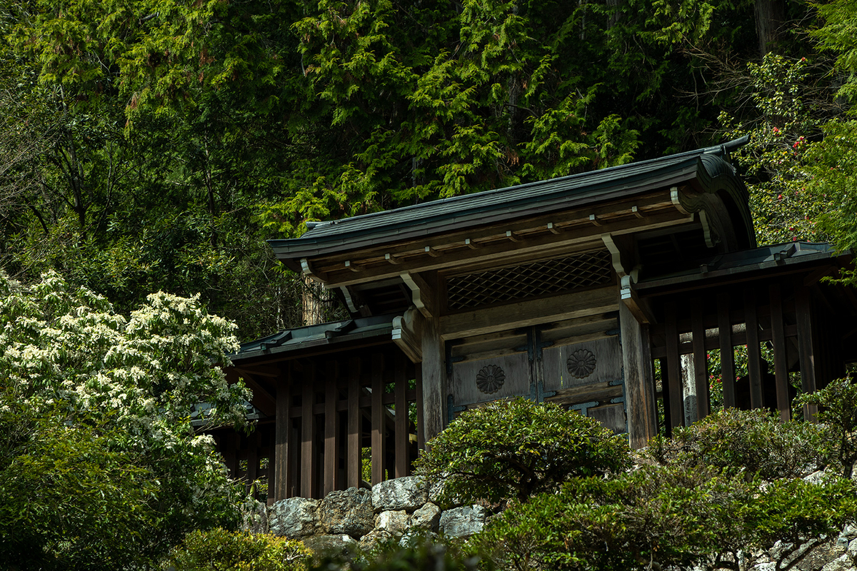 京都の観光スポット常照皇寺
