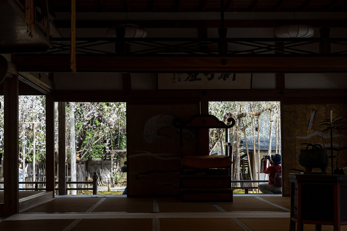 京都の観光スポット常照皇寺