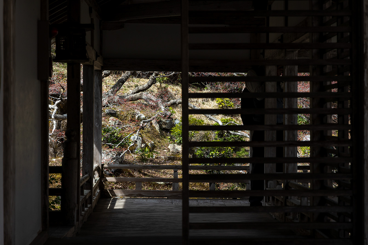 京都の観光スポット常照皇寺