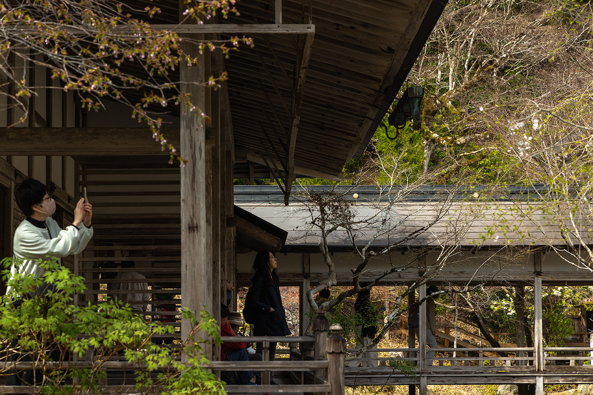 京都の観光スポット常照皇寺