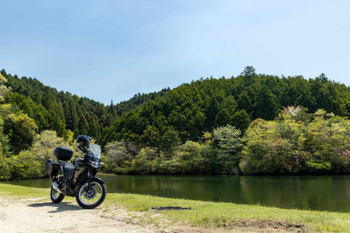滋賀県の絶景スポット岩尾池の1本スギ