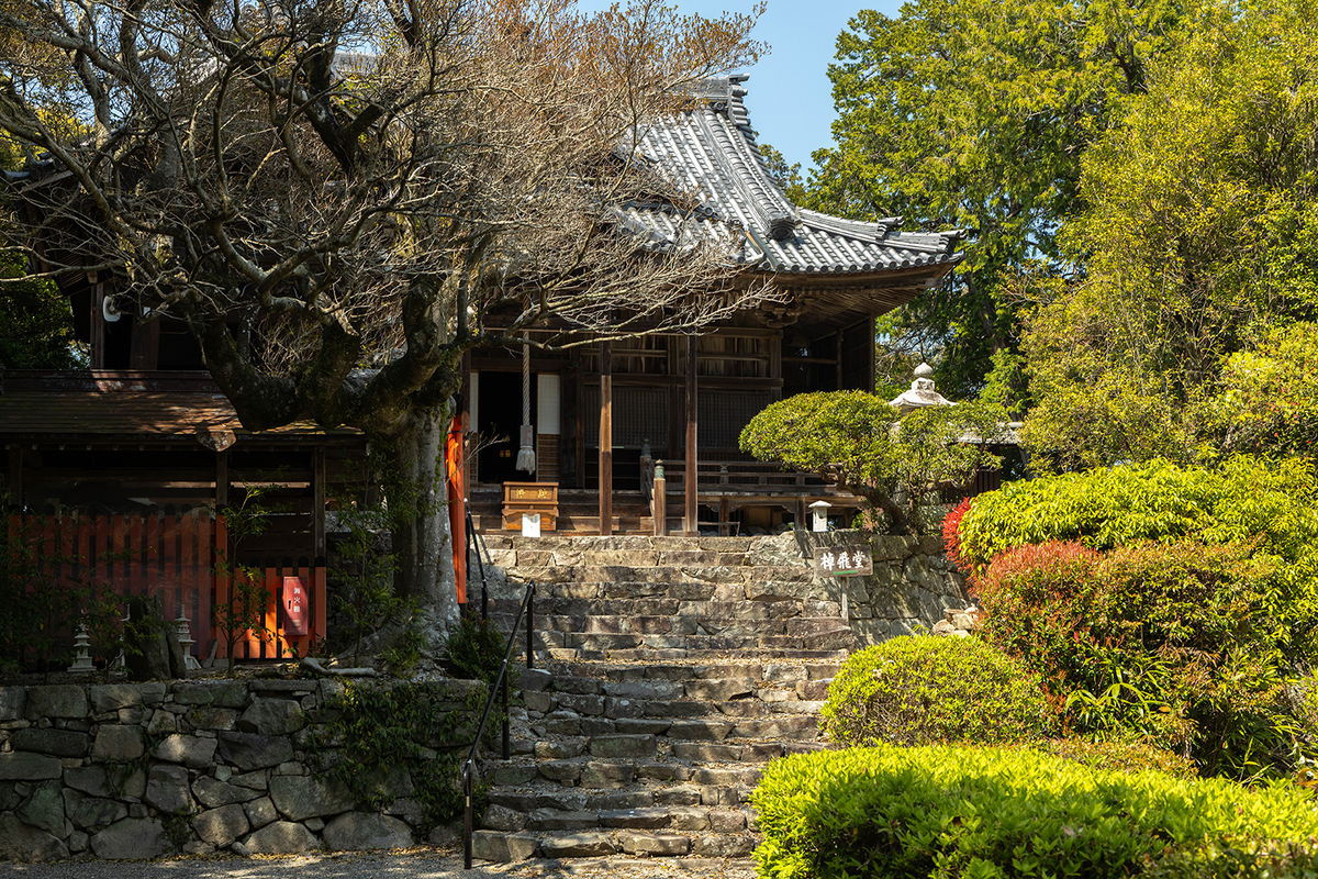 伊崎寺
