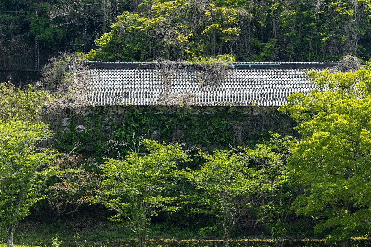 笠置温泉「笠置館」
