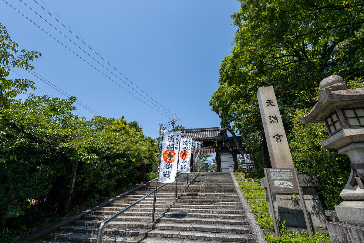道明寺