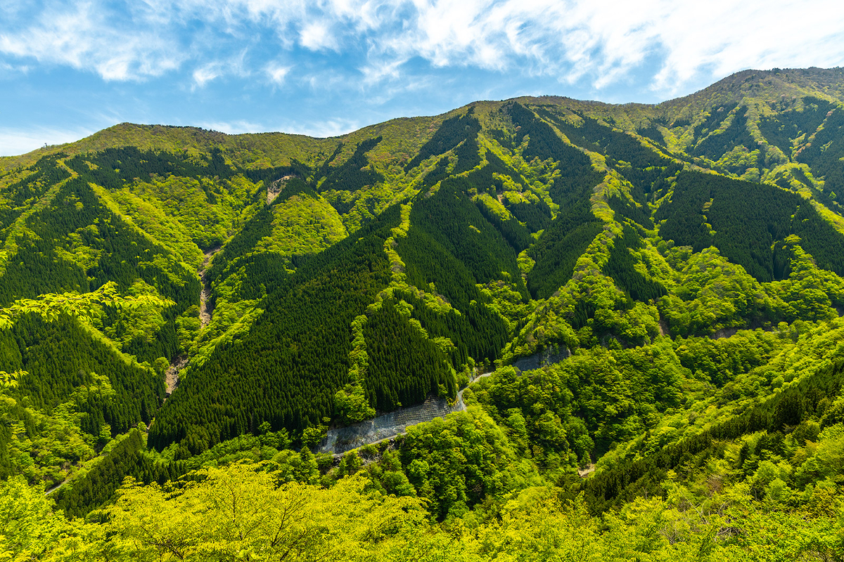 【奈良県の絶景スポット】大峰山のナメゴ谷までバイクツーリング