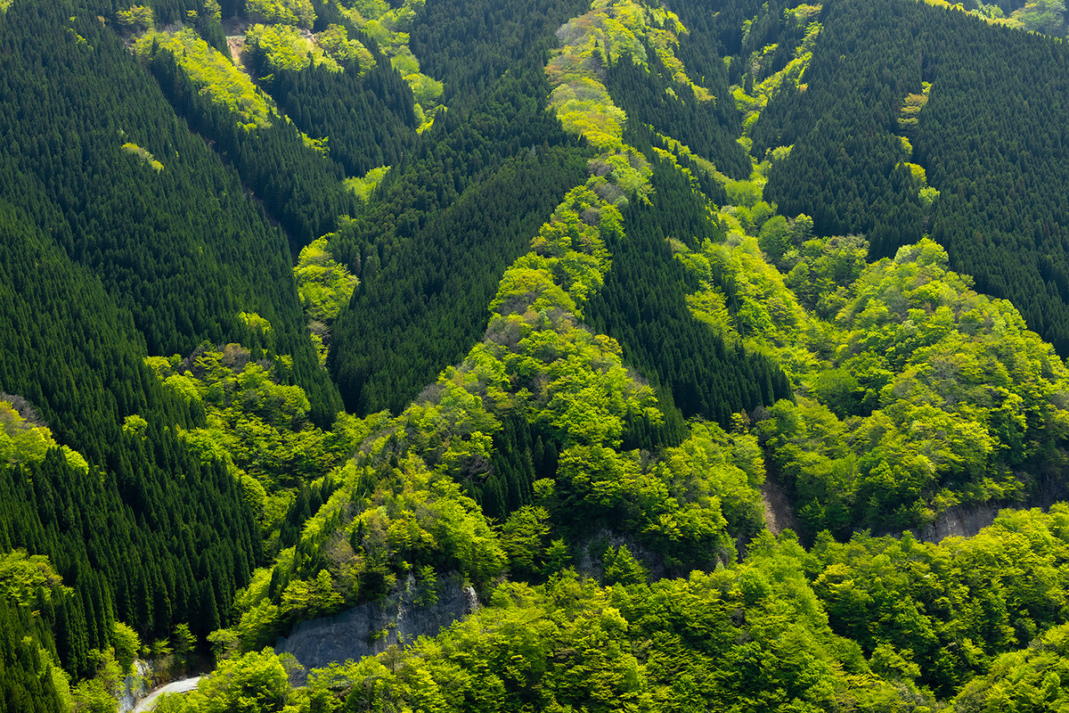 【奈良県の絶景スポット】大峰山のナメゴ谷までバイクツーリング