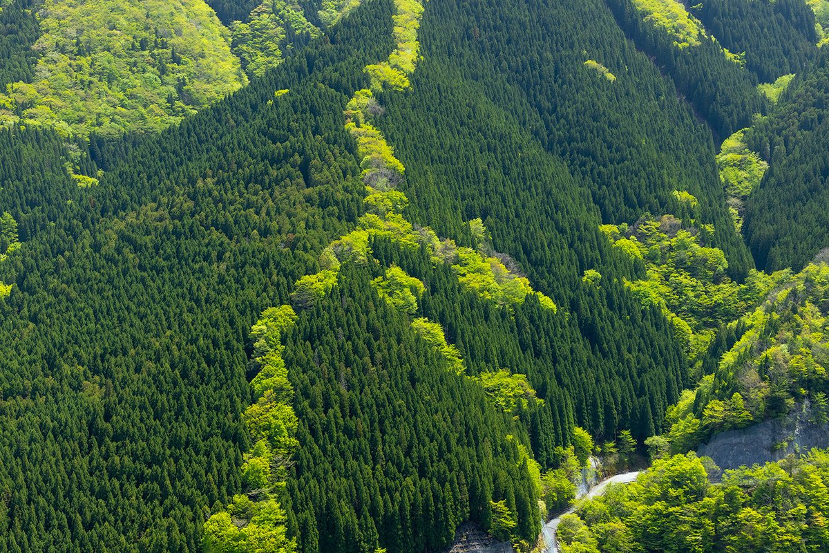 【奈良県の絶景スポット】大峰山のナメゴ谷までバイクツーリング