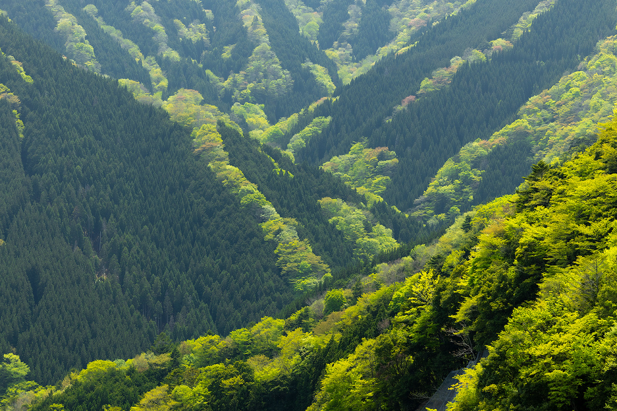 【奈良県の絶景スポット】大峰山のナメゴ谷までバイクツーリング