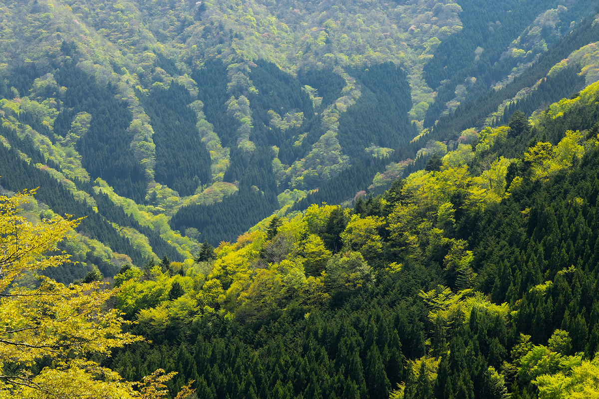 【奈良県の絶景スポット】大峰山のナメゴ谷までバイクツーリング