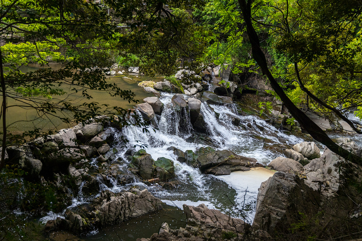 竜田川