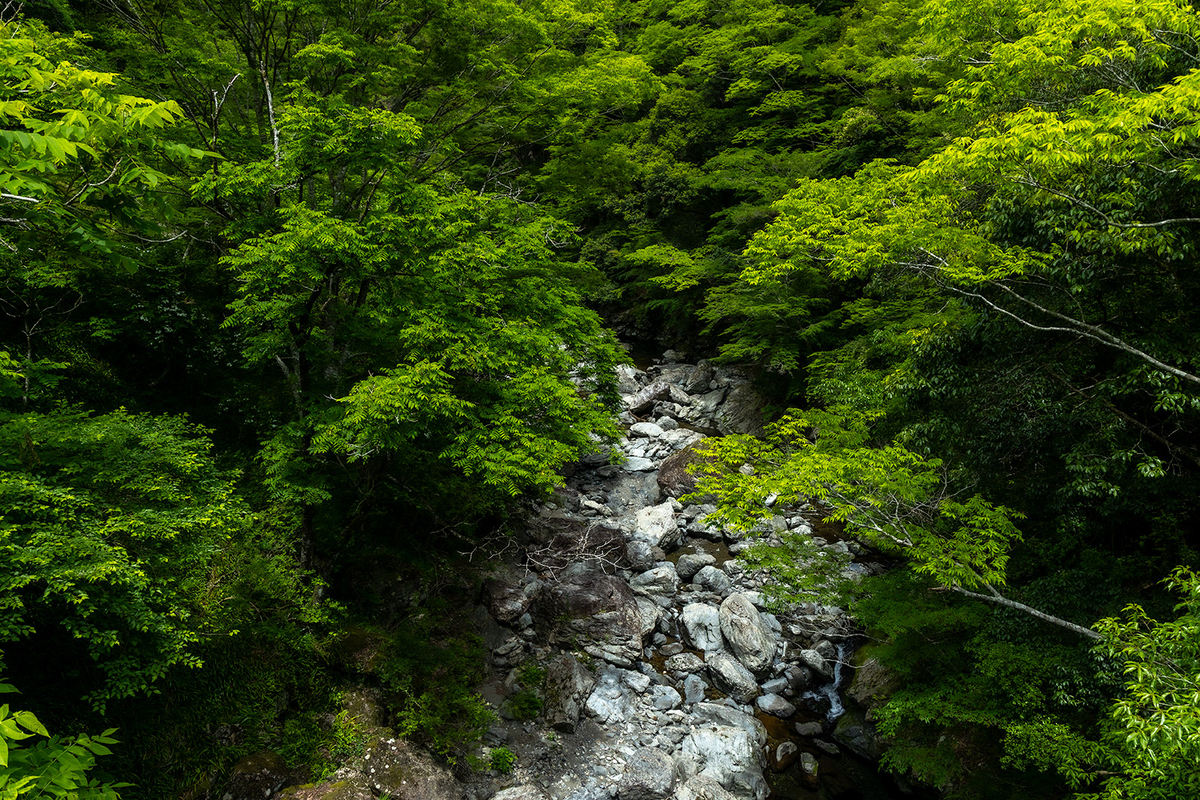 奈良県の絶景バイクツーリング