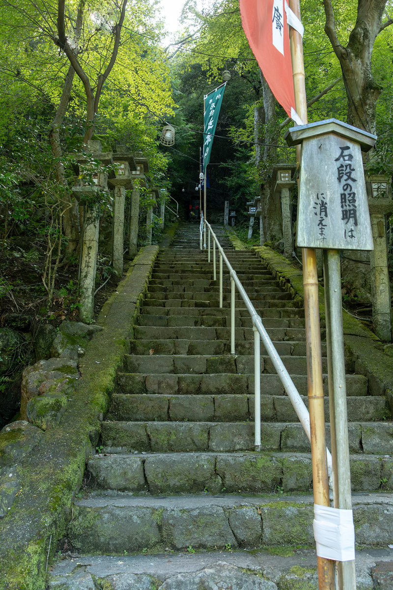 滋賀県の厄除け観音 800段の石段を登って立木観音へ。 - 暮らしの顛末