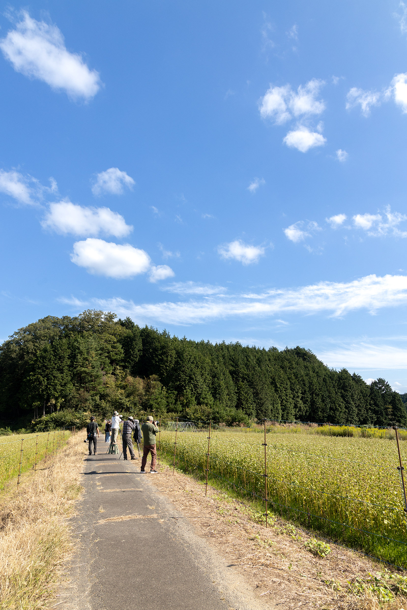 笠荒神のそば畑