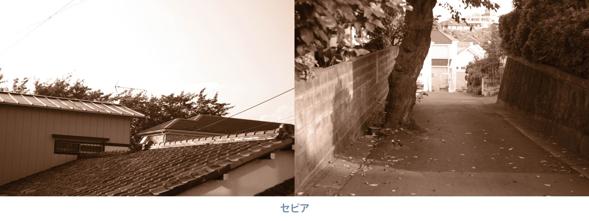 X-Pro3 セピア