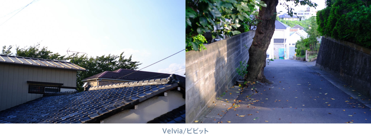X-Pro3 Velvia/ビビット