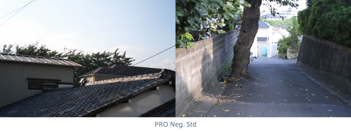 X-Pro3 PRO Neg. Std