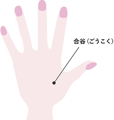 f:id:kumamakumama:20200206131505j:plain f:id:kumamakumama:20200206131505j:plain