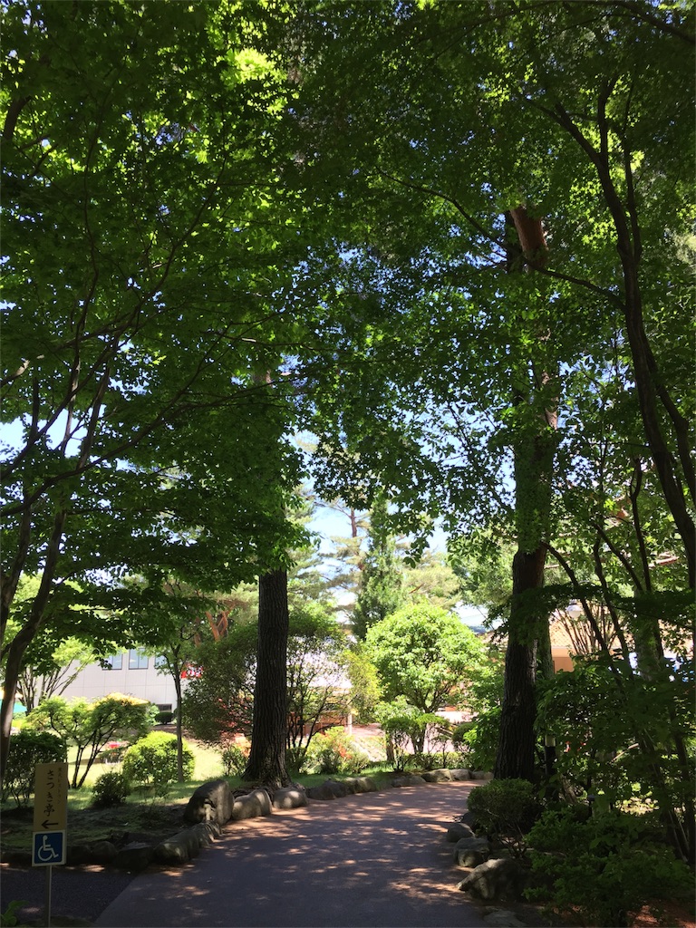 f:id:kumame449:20180525105218j:image f:id:kumame449:20180525105218j:image