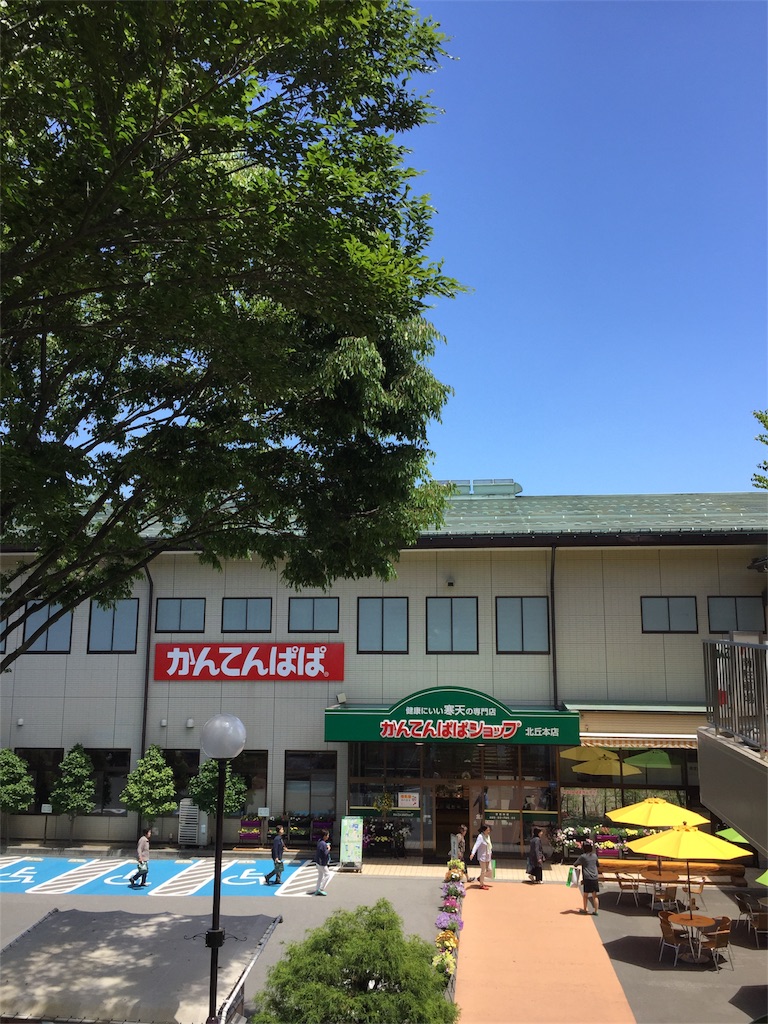 f:id:kumame449:20180525105237j:image f:id:kumame449:20180525105237j:image
