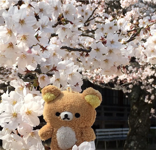 f:id:kumami123:20180402114010j:image