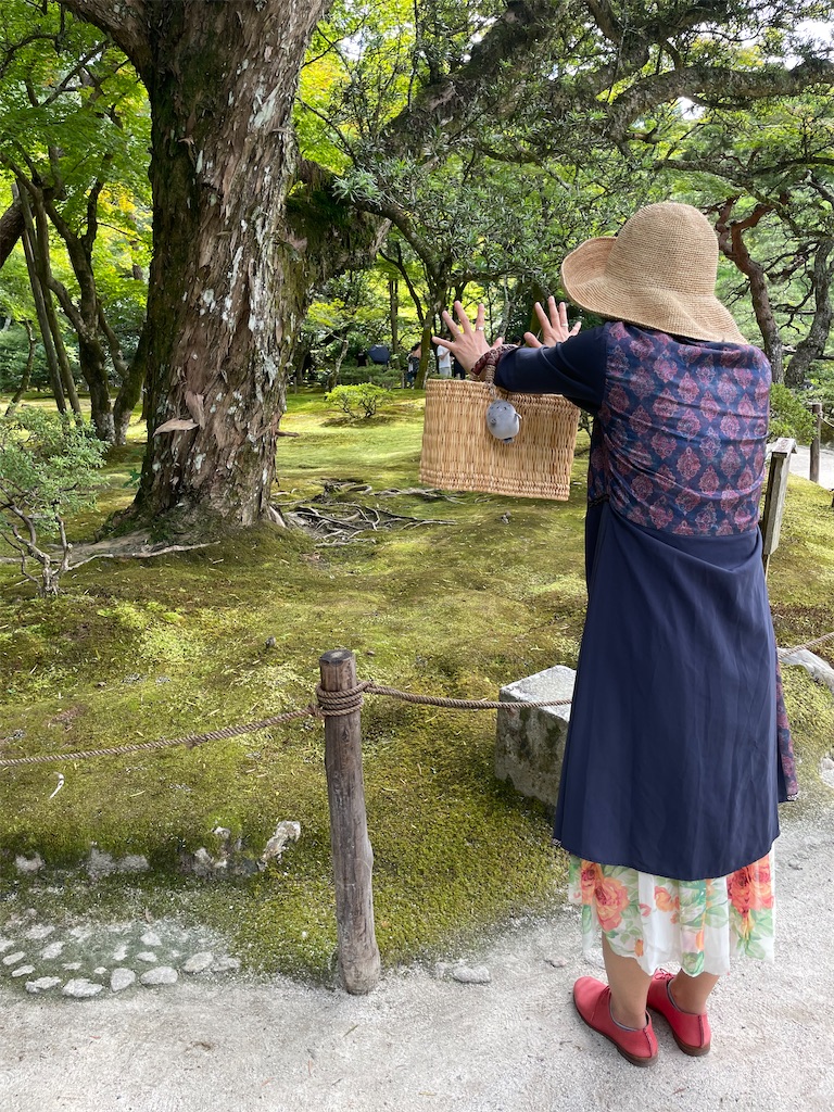 f:id:kumamin0704:20240901012410j:image