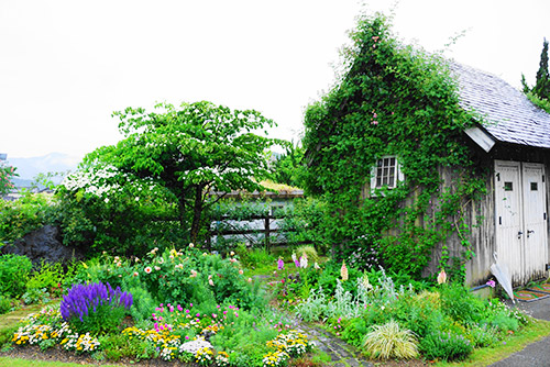 ローズガーデン内のお手洗いがおしゃれ