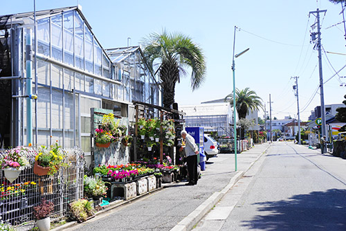 名古屋の坪井健樹園の温室