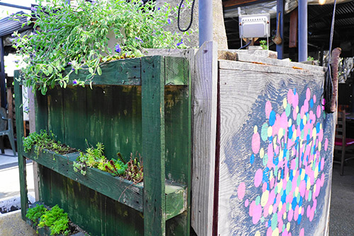 ボイボイピッツァのガーデンエリアの緑