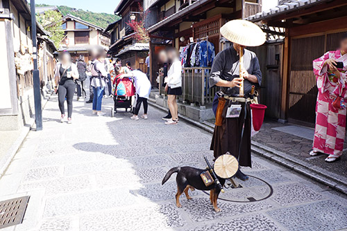 京都東山地区で犬を連れた虚無僧