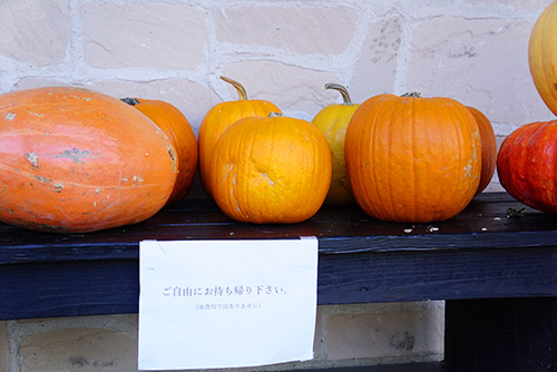 ハロウィーンデコレーションの役目を終えたかぼちゃ