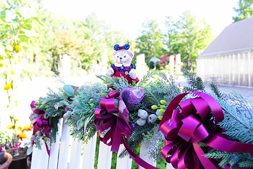 フラリエで私はぬい撮り