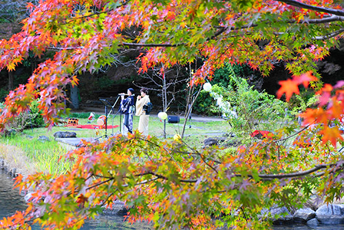 11月16日の東山植物園