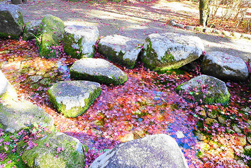 岐阜公園の紅葉