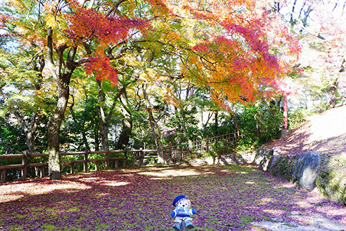 三重塔に行く手前の紅葉