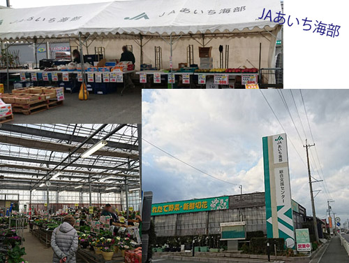 ＪＡあいち海部