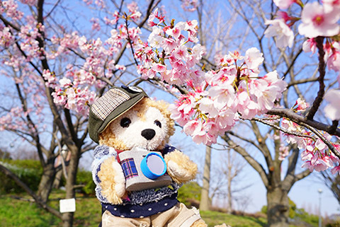 マイベアーのダッフィー踊舞くん