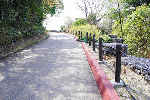 桜の回廊へ続く道