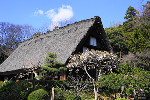 茅葺屋根