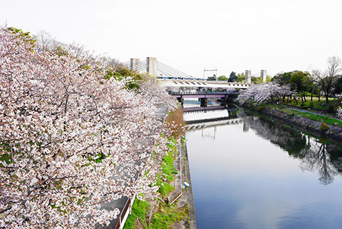 名古屋市港区の荒子川公園