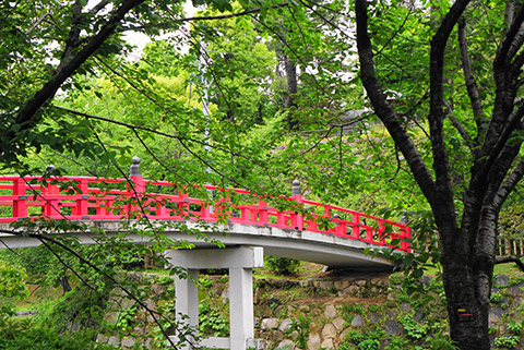 岡崎公園の龍城堀の神橋