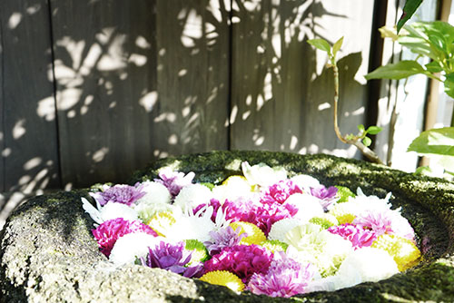 岡崎の菅生神社の花手水