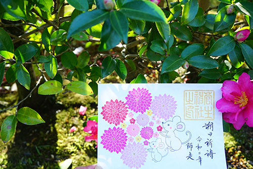 菅生神社の花手水の御朱印