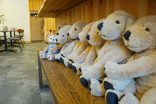 犬に圧倒され気味なくまさん