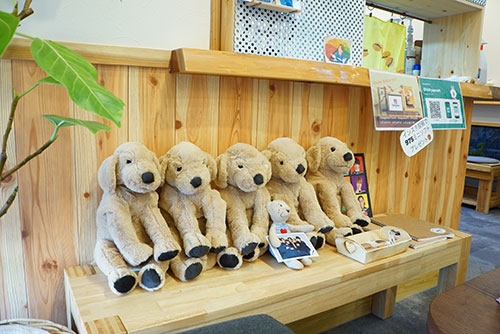 キナコカフェにいるきな粉色の犬たち