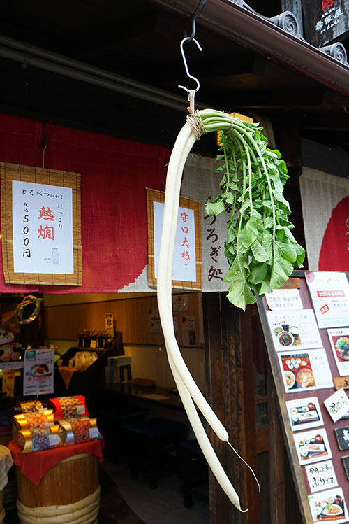 細長い守口大根