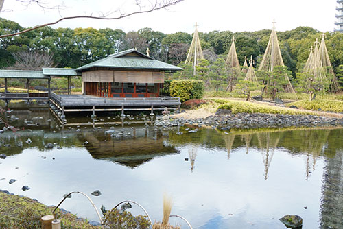 白鳥庭園