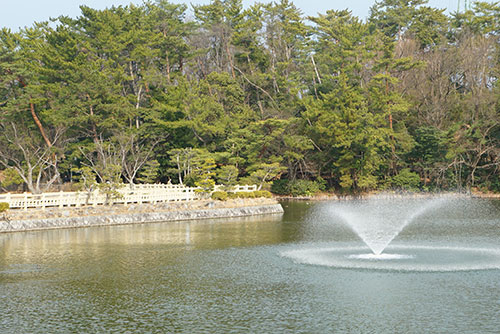 岡崎南公園の池