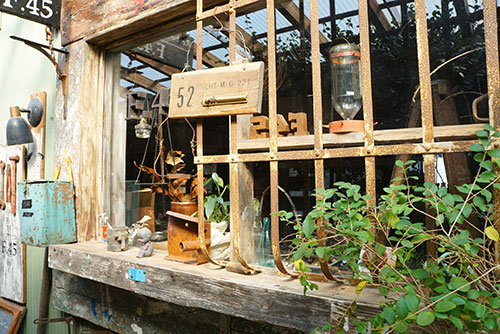 カルジーナの森