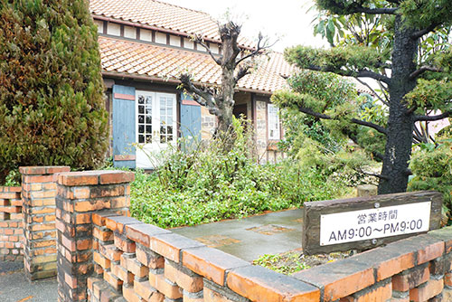 庭には緑が施してあります